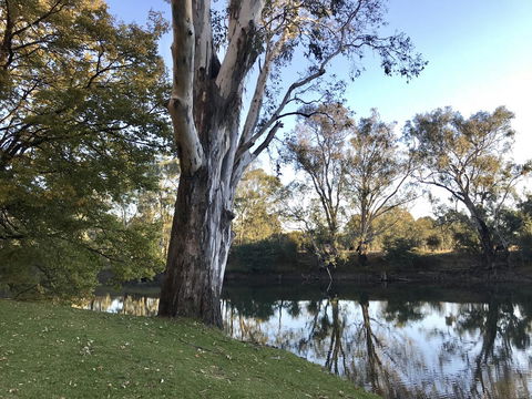 The Botanical 201 - Northern Rivers Accommodation 18