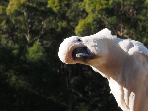 Bundle Hill Cottages - Northern Rivers Accommodation 1