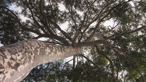 Bundle Hill Cottages - Northern Rivers Accommodation 20