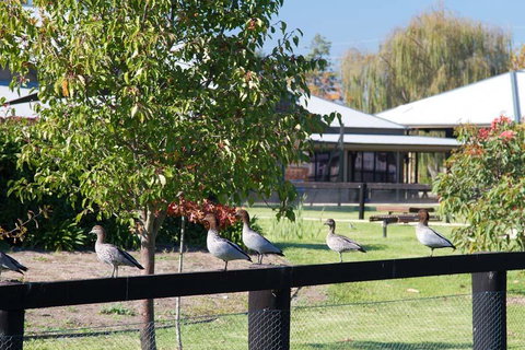 Potters Apartments - Northern Rivers Accommodation 25