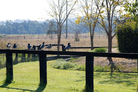 Potters Apartments - Northern Rivers Accommodation 24