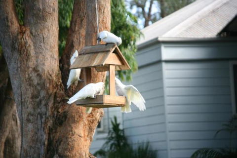 Huskisson Holiday Motel Cabins - Northern Rivers Accommodation 29
