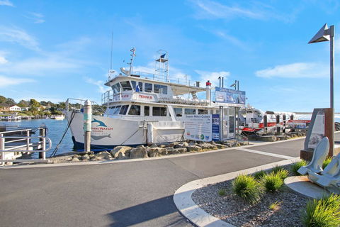 Huskisson Holiday Motel Cabins - Northern Rivers Accommodation 6