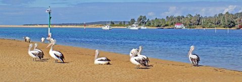 Pelican Motor Inn - Northern Rivers Accommodation 29