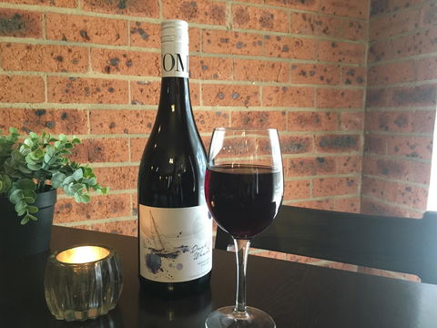 Bega Downs Motor Inn - Northern Rivers Accommodation 11