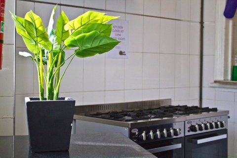 Mad Monkey Kings Cross - Northern Rivers Accommodation 19