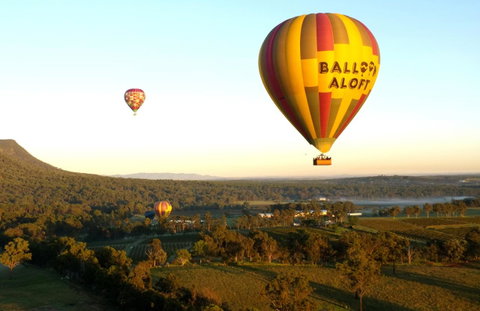 Coal D\' Vine VIEW - Cessnock NSW - Northern Rivers Accommodation 14