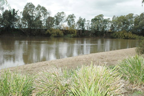 Brand New Executive Apartment - Northern Rivers Accommodation 34