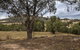Pound Creek Gallery - thumb 29