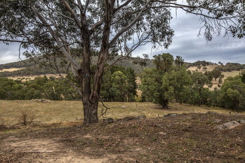 Pound Creek Gallery - Northern Rivers Accommodation 29