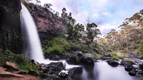 Pound Creek Gallery - Northern Rivers Accommodation 14
