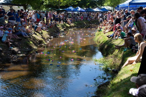 Pound Creek Gallery - Northern Rivers Accommodation 15