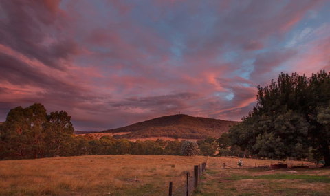 Pound Creek Gallery - Northern Rivers Accommodation 28