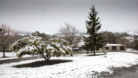 Pound Creek Gallery - Northern Rivers Accommodation 8
