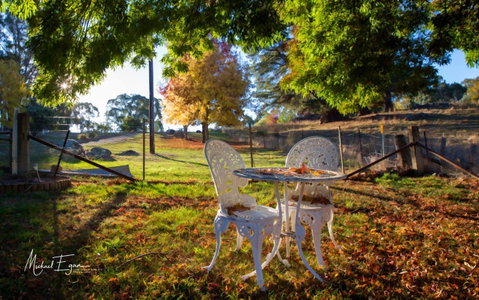 Pound Creek Gallery - Northern Rivers Accommodation 27