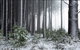 Pound Creek Gallery - thumb 1