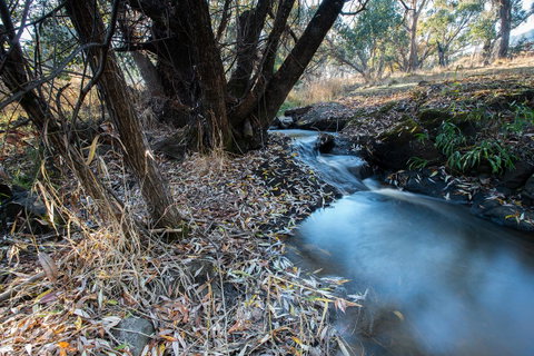 Pound Creek Gallery - Northern Rivers Accommodation 26