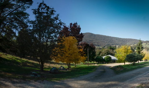 Pound Creek Gallery - Northern Rivers Accommodation 7