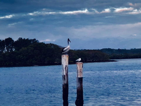 Boathouse Resort (Water Front) - Northern Rivers Accommodation 15