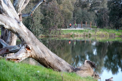 Mercure Albury - Northern Rivers Accommodation 15