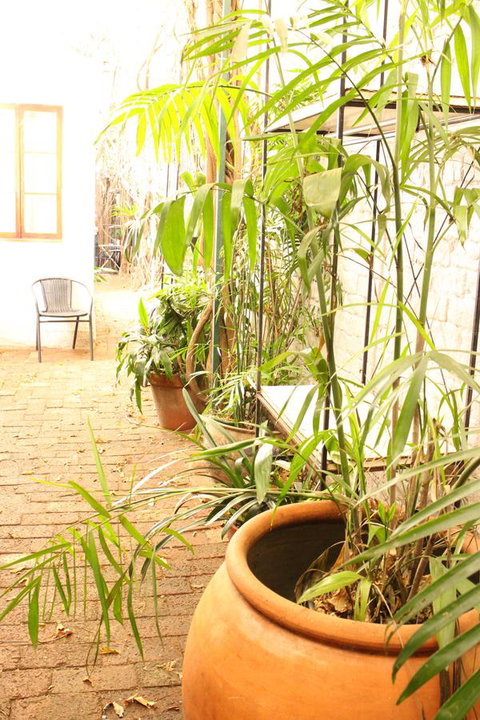Newtown Cozy Stays - Northern Rivers Accommodation 10