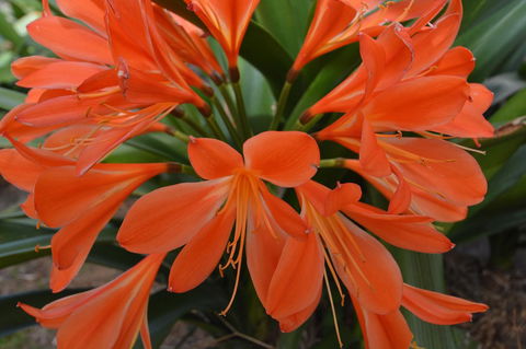 JE Guesthouse, Central To All The Hunter Valley Has To Offer - Northern Rivers Accommodation 39