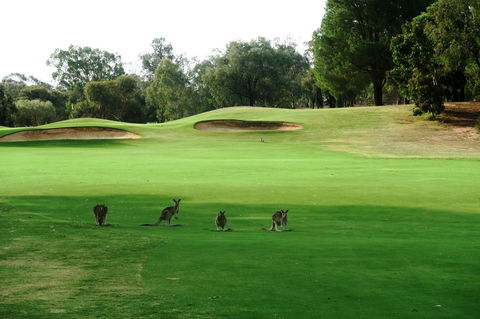 Mulwala Resort - Northern Rivers Accommodation 40