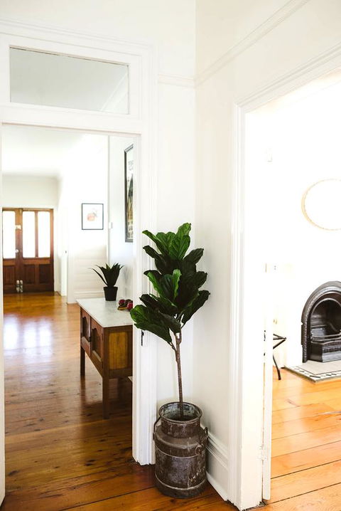 Morpeth Cottage - Northern Rivers Accommodation 3