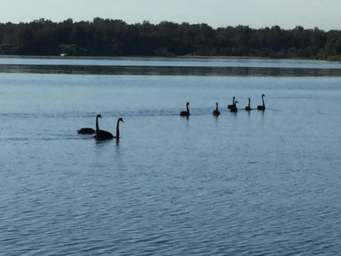 Swan Bay Hideaway - Northern Rivers Accommodation 7