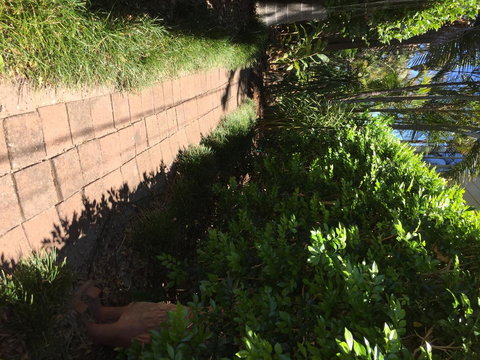 Swan Bay Hideaway - Northern Rivers Accommodation 6