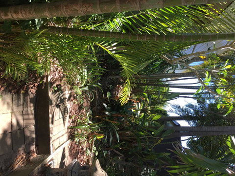 Swan Bay Hideaway - Northern Rivers Accommodation 9