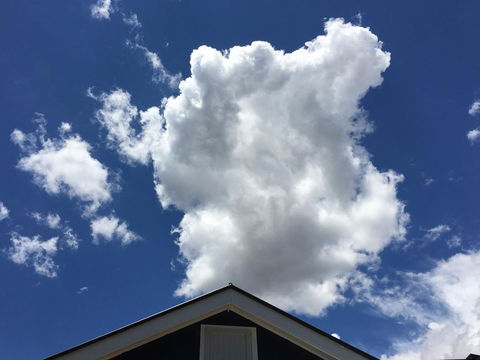 99 Hill Street Apartments - Northern Rivers Accommodation 18