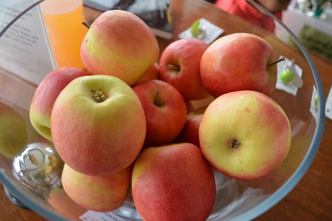 The Apple Inn - Northern Rivers Accommodation 12