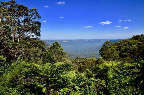 Dangal Gardens - Northern Rivers Accommodation 28
