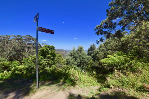 Dangal Gardens - Northern Rivers Accommodation 30
