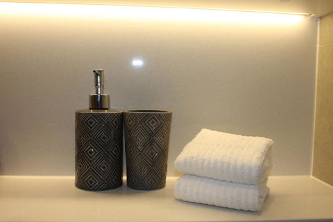 Stunning Views Sydney Olympic Park - Northern Rivers Accommodation 24