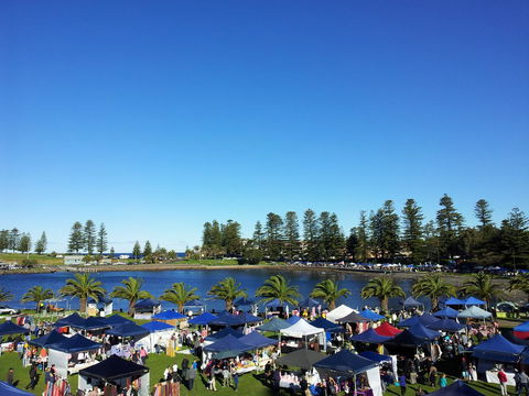 Bellevue Accommodation - Northern Rivers Accommodation 20