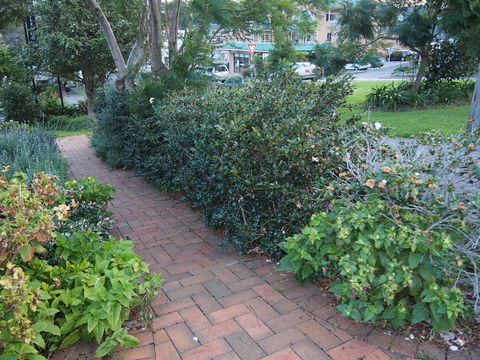 Bellevue Accommodation - Northern Rivers Accommodation 22