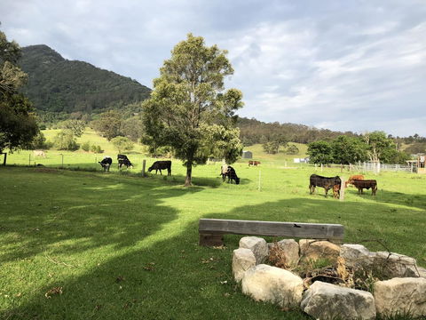 Arcadia - The Barn Cottage & Rosehill Cottage - Northern Rivers Accommodation 29