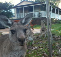 Bush  Bay Cottage - Northern Rivers Accommodation