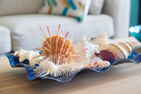 Arena Luxury Beachfront Apartment - Northern Rivers Accommodation 7