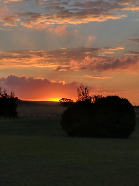 Madigan Wine Country Cottages - Northern Rivers Accommodation 13