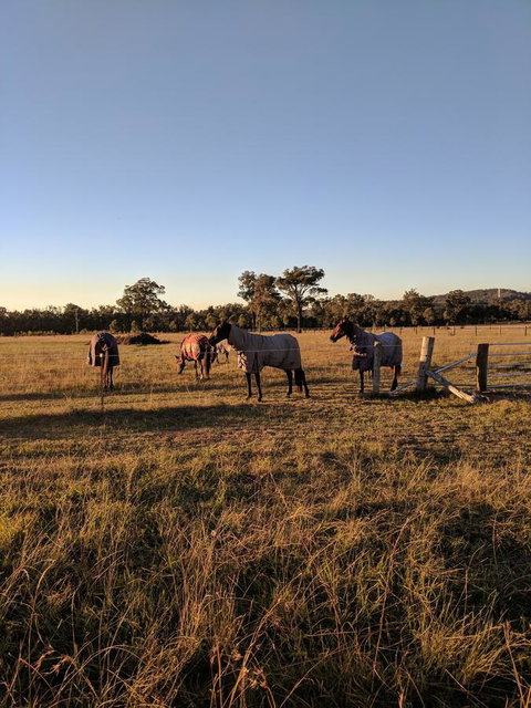 Madigan Wine Country Cottages - Northern Rivers Accommodation 8