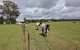 Madigan Wine Country Cottages - thumb 9
