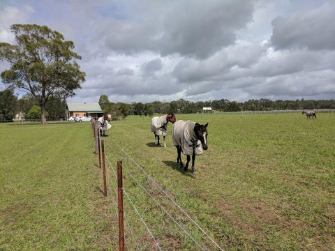 Madigan Wine Country Cottages - Northern Rivers Accommodation 9