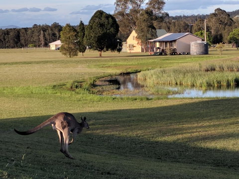 Madigan Wine Country Cottages - Northern Rivers Accommodation 6