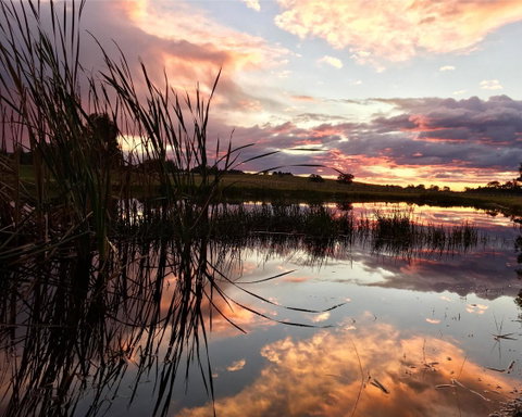 Madigan Wine Country Cottages - Northern Rivers Accommodation 16