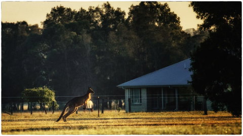 Madigan Wine Country Cottages - Northern Rivers Accommodation 5