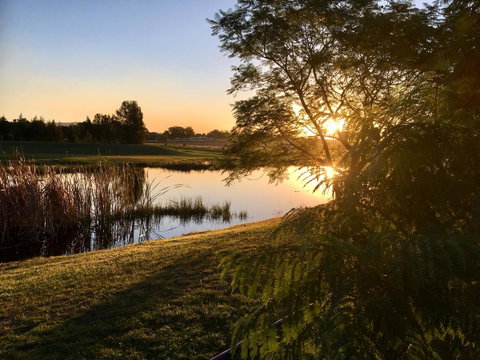 Madigan Wine Country Cottages - Northern Rivers Accommodation 17