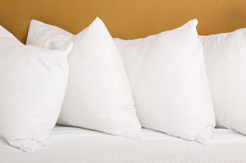 Newcastle Central Plaza Apartment Hotel Official - Northern Rivers Accommodation 12
